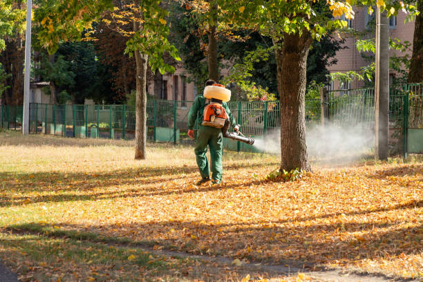 Best Wasp Removal Services  in Wfield, IN