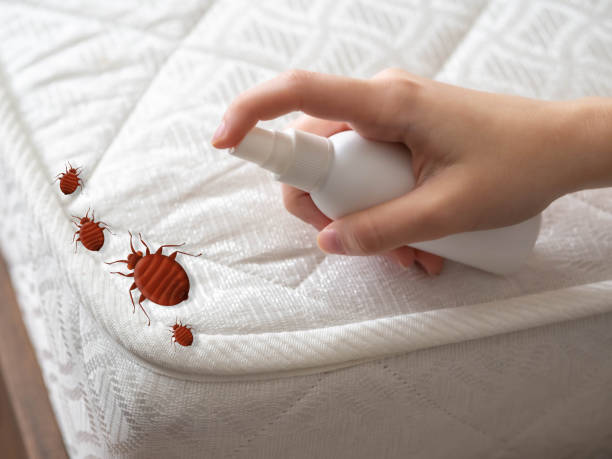 Best Exterminator Services  in Wfield, IN
