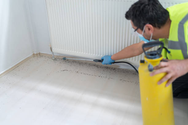 Best Residential Pest Control  in Wfield, IN
