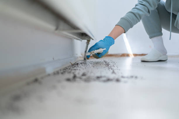 Pest Control for Restaurants in Winfield, IN