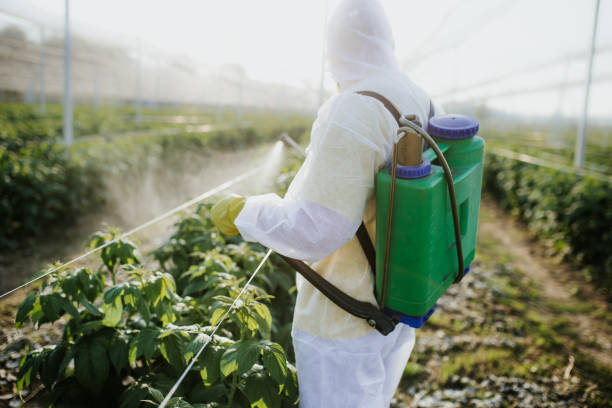 Trusted Winfield, IN Pest Control Experts